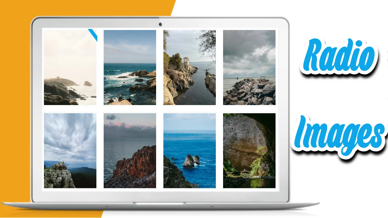 Radio Button Image plugin thumbnail