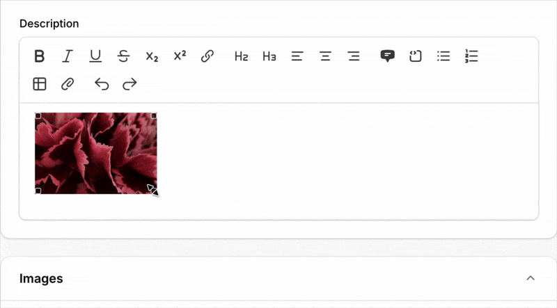 Rich Editor Resizable Images Screenshot